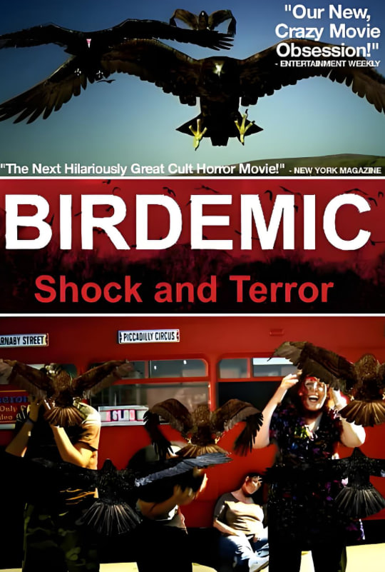 群鸟:震惊和恐怖